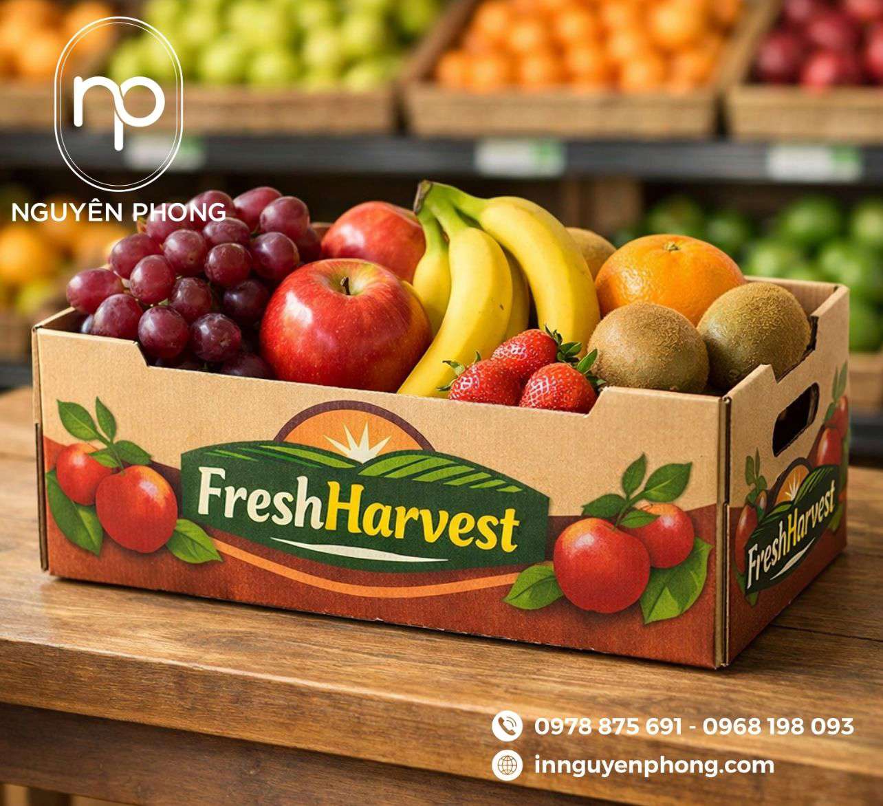 Mẫu khay đựng trái cây thương hiệu 